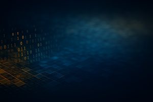 Data Anonymization Techniques in Financial Platforms